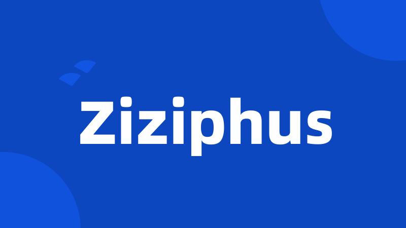 Ziziphus