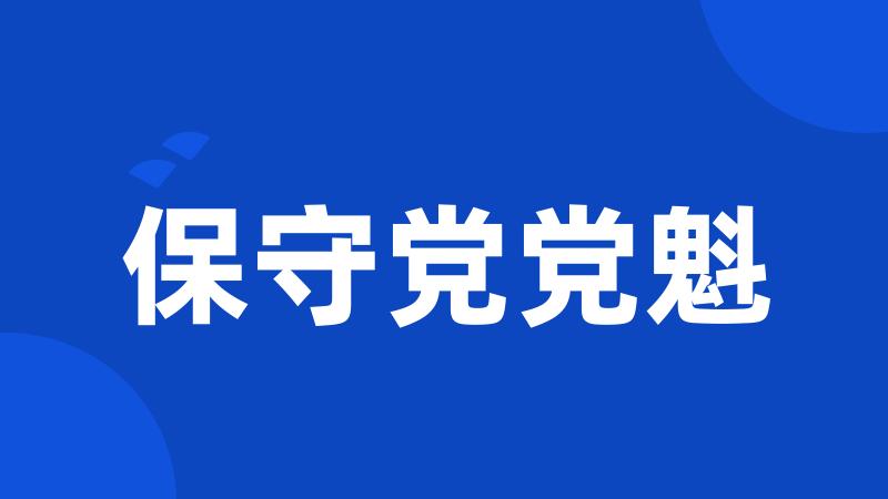 保守党党魁