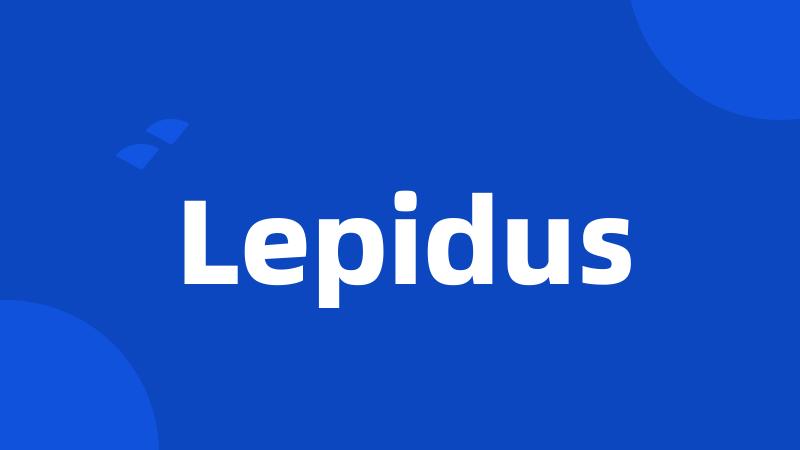 Lepidus