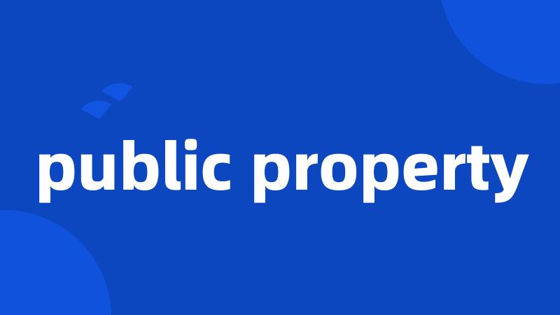 public property