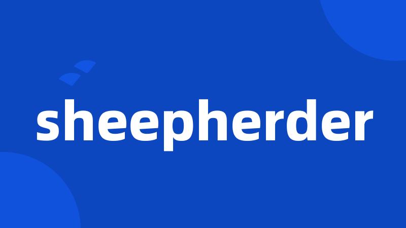 sheepherder