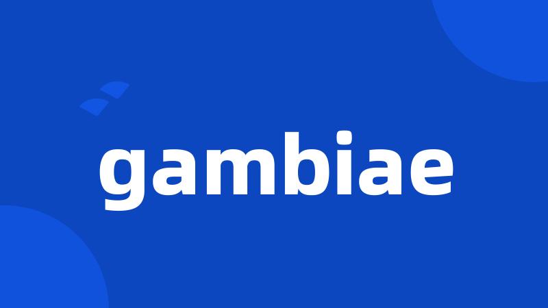 gambiae