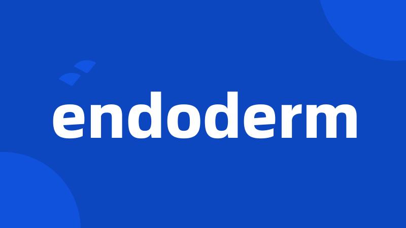 endoderm