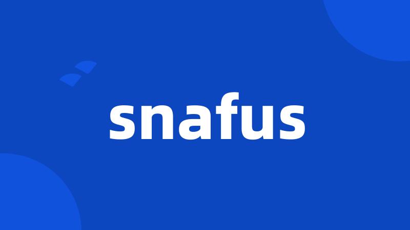 snafus