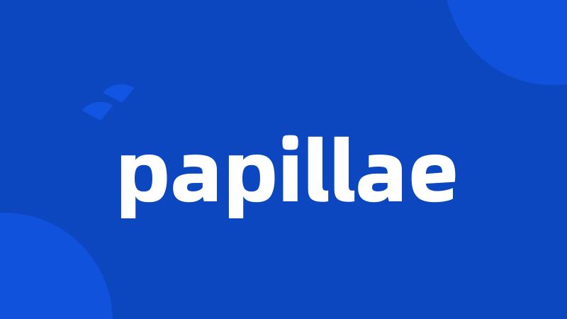 papillae