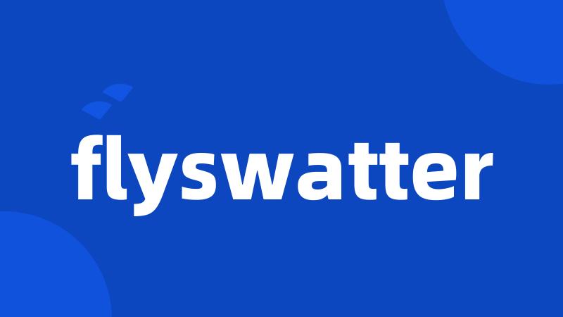 flyswatter