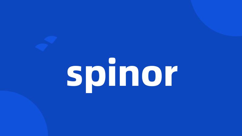spinor