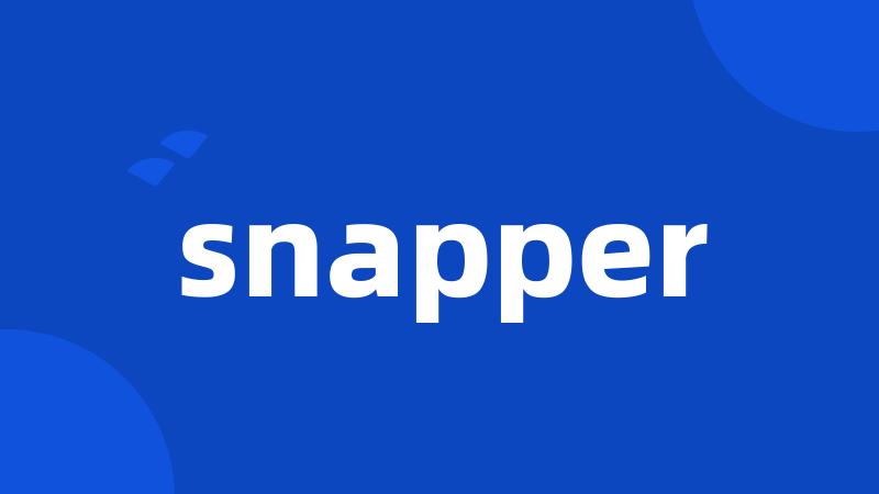 snapper