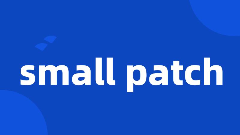 small patch