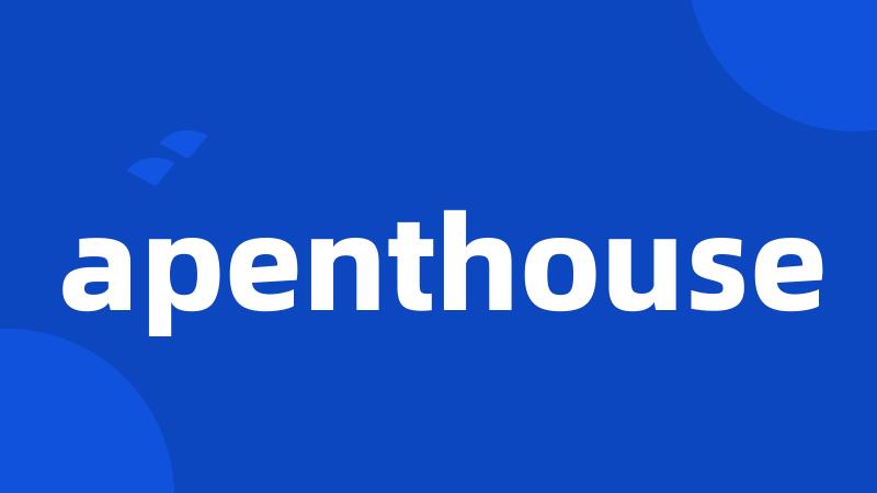 apenthouse