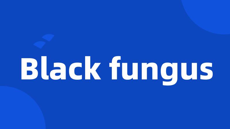 Black fungus