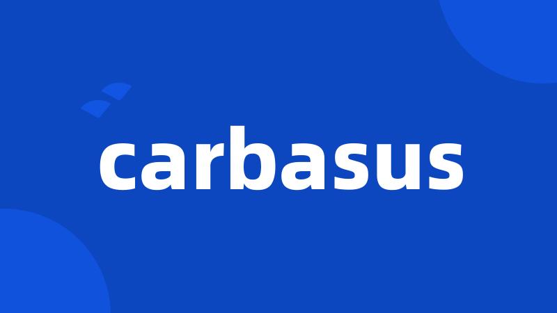 carbasus