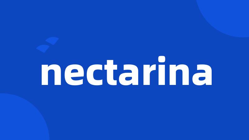 nectarina