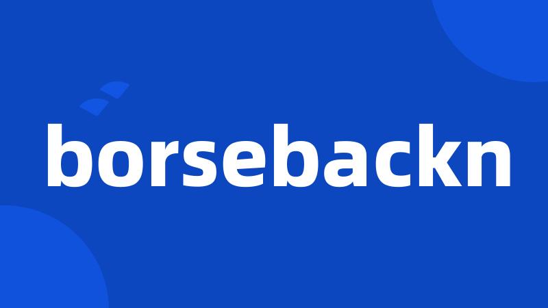 borsebackn