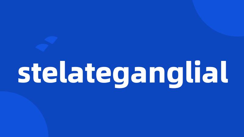 stelateganglial