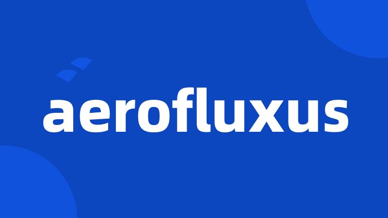 aerofluxus