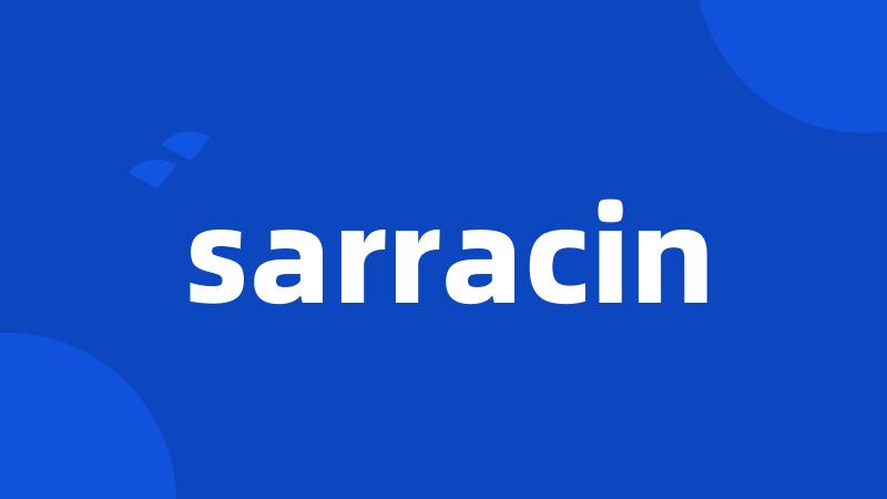 sarracin