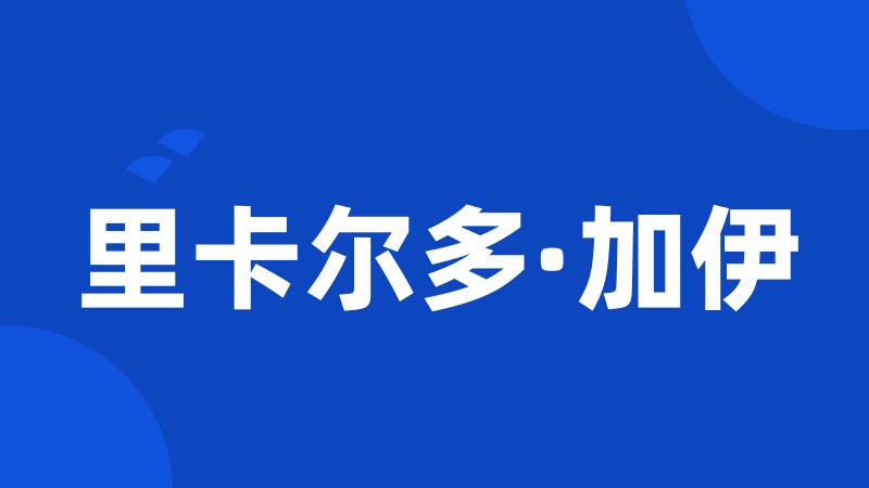 里卡尔多·加伊