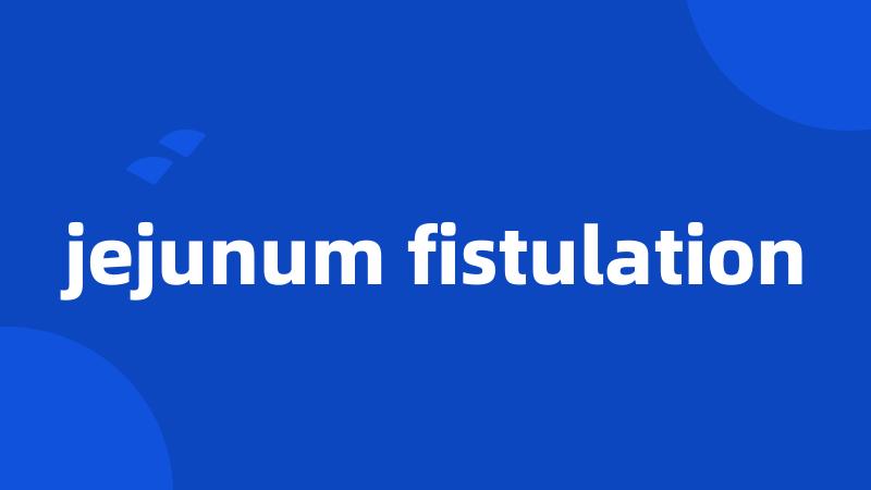 jejunum fistulation