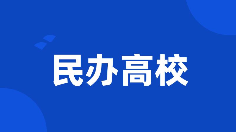 民办高校