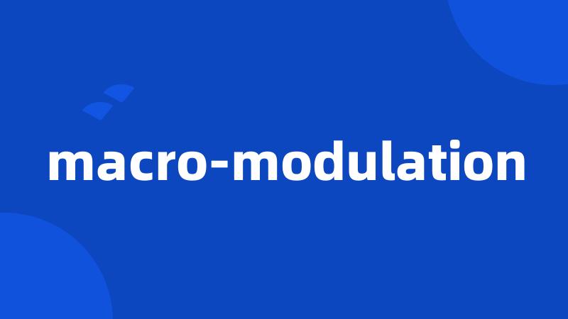 macro-modulation