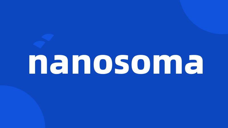 nanosoma