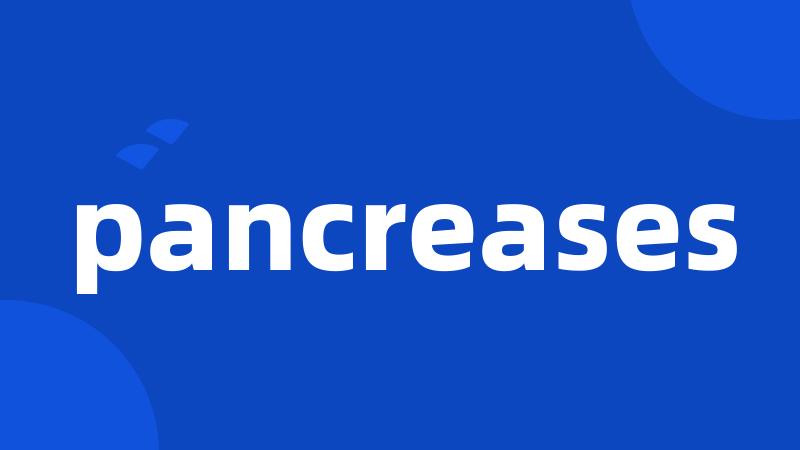 pancreases