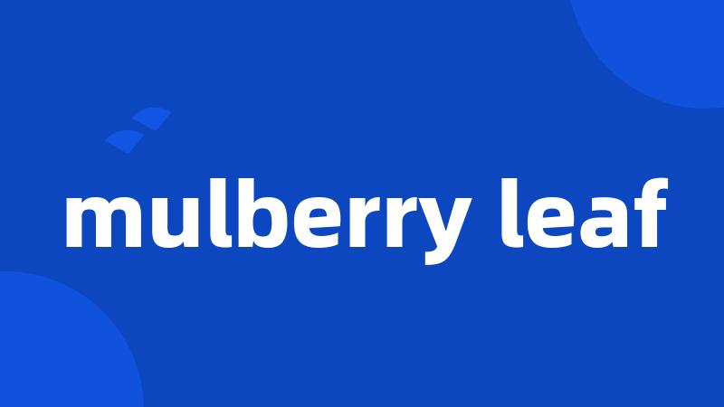 mulberry leaf