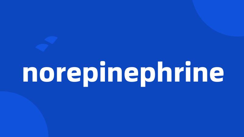 norepinephrine