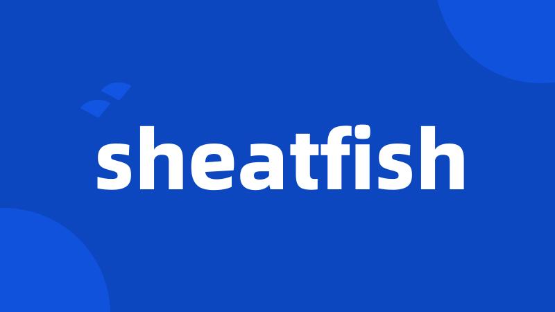 sheatfish