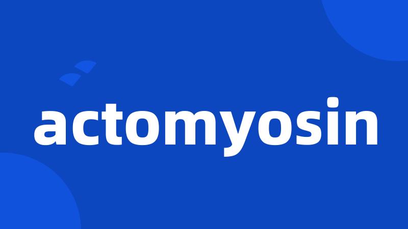 actomyosin