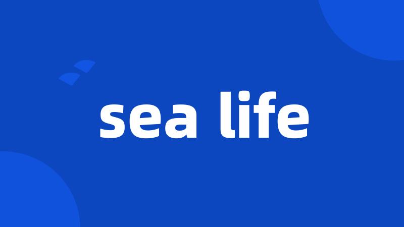 sea life