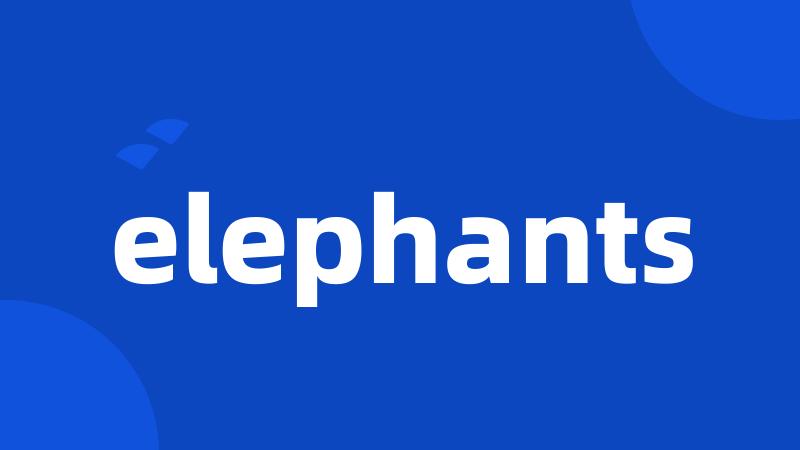 elephants