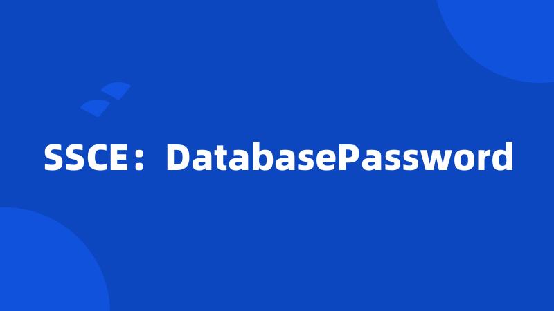 SSCE：DatabasePassword