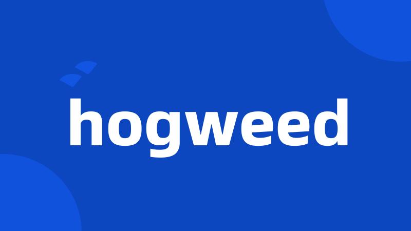 hogweed