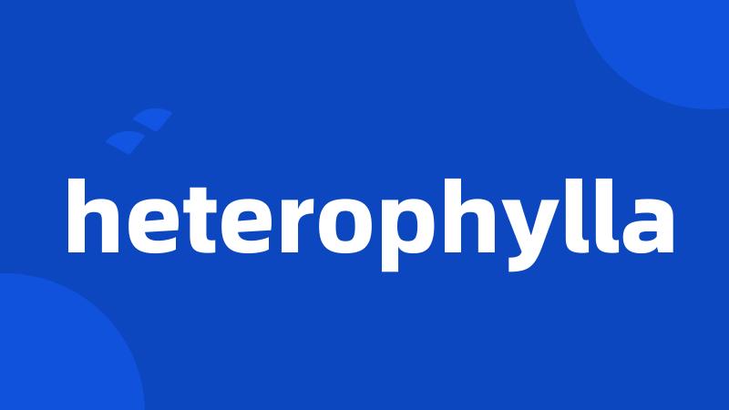 heterophylla