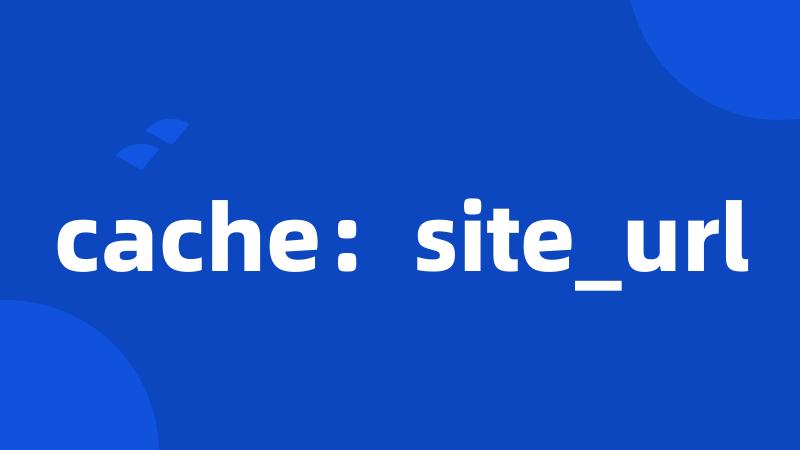 cache：site_url