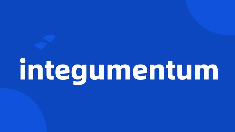 integumentum