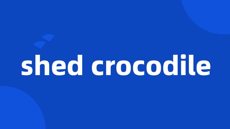 shed crocodile