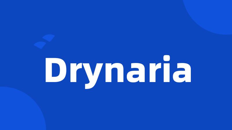 Drynaria