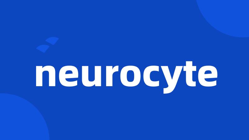 neurocyte