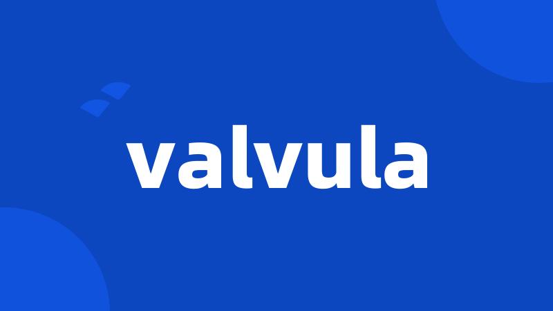 valvula