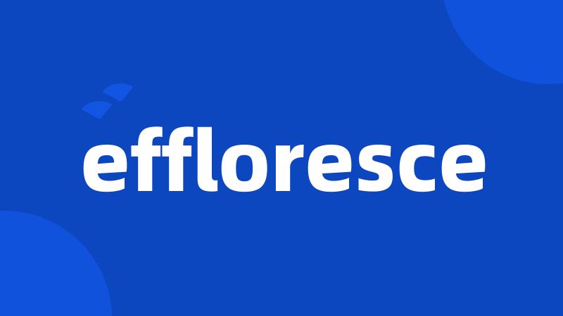 effloresce