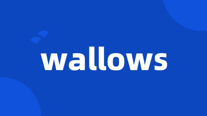 wallows