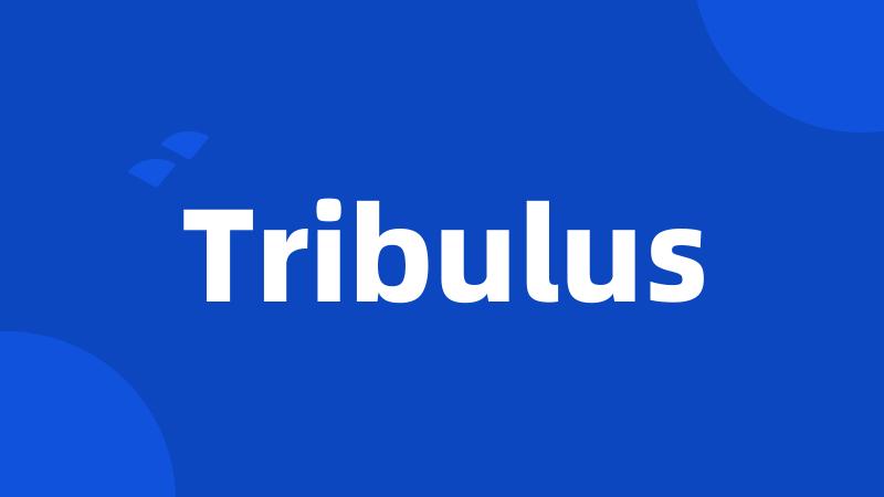 Tribulus