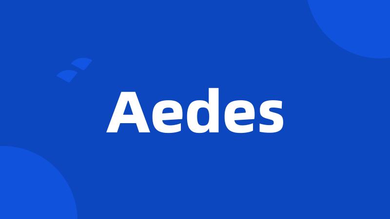 Aedes