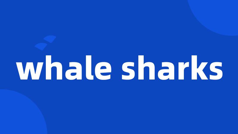 whale sharks