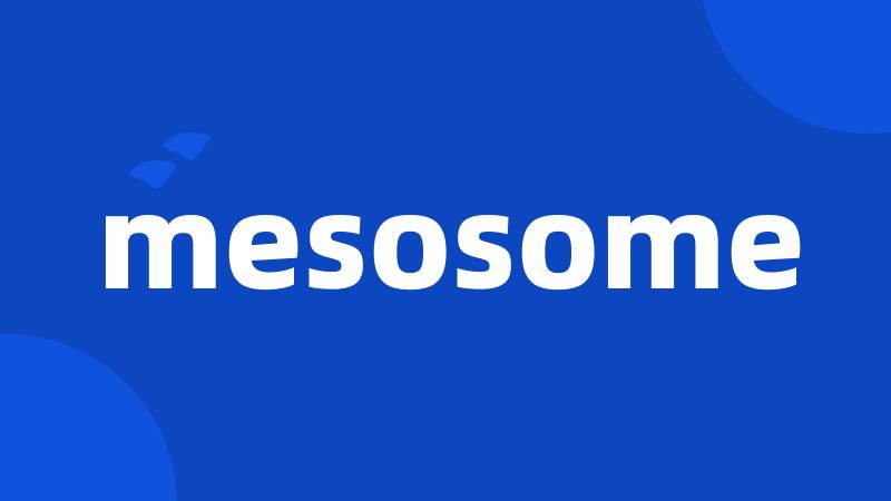 mesosome