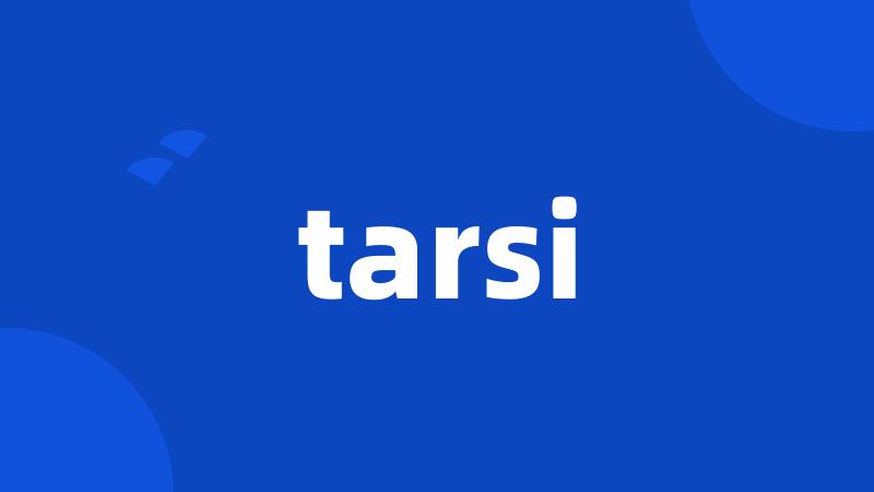 tarsi