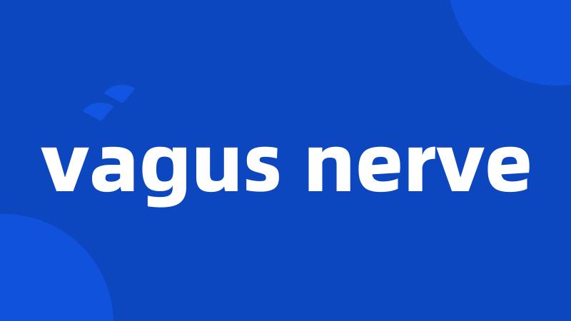 vagus nerve